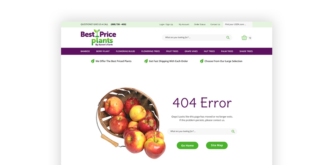 Custom 404 Page